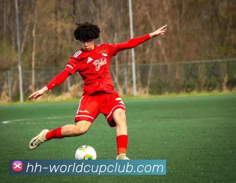 App Interface Preview